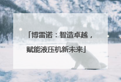 博雷诺：智造卓越，赋能液压机新未来