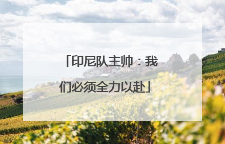 印尼队主帅：我们必须全力以赴