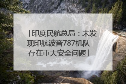 印度民航总局：未发现印航波音787机队存在重大安全问题
