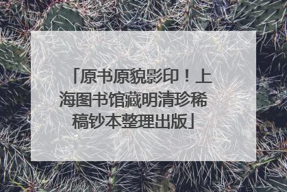 原书原貌影印！上海图书馆藏明清珍稀稿钞本整理出版