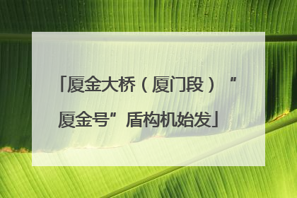 厦金大桥（厦门段）“厦金号”盾构机始发