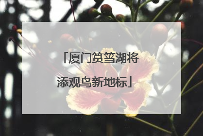 厦门筼筜湖将添观鸟新地标