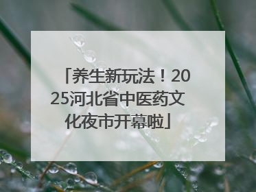 养生新玩法！2025河北省中医药文化夜市开幕啦