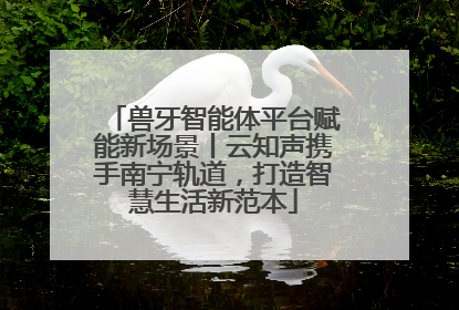 兽牙智能体平台赋能新场景丨云知声携手南宁轨道，打造智慧生活新范本