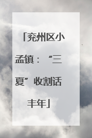 兖州区小孟镇：“三夏”收割话丰年