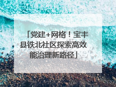 党建+网格！宝丰县铁北社区探索高效能治理新路径