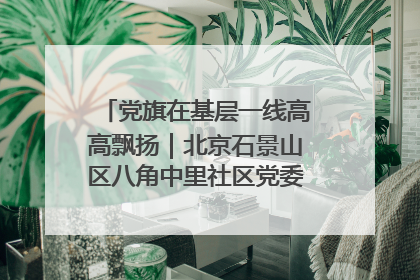 党旗在基层一线高高飘扬｜北京石景山区八角中里社区党委：用脚步丈量民生