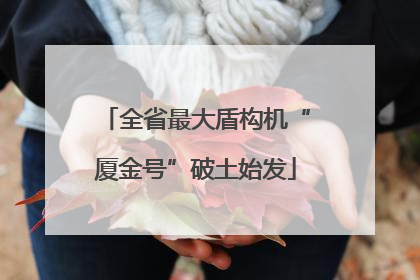 全省最大盾构机“厦金号”破土始发