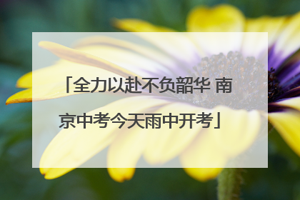 全力以赴不负韶华 南京中考今天雨中开考