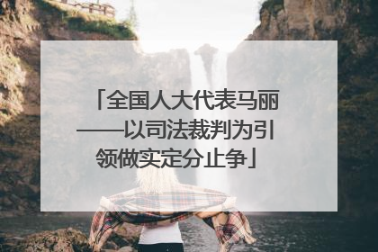 全国人大代表马丽——以司法裁判为引领做实定分止争