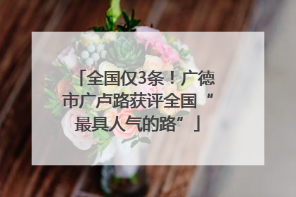 全国仅3条！广德市广卢路获评全国“最具人气的路”