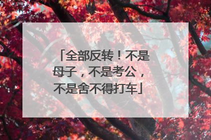全部反转！不是母子，不是考公，不是舍不得打车
