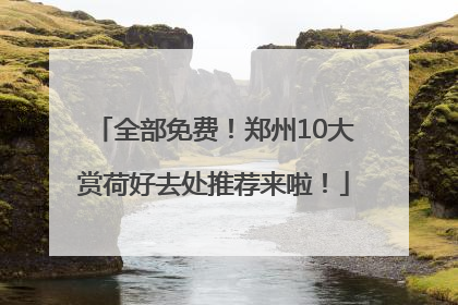 全部免费！郑州10大赏荷好去处推荐来啦！