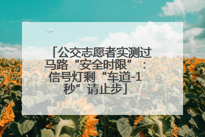 公交志愿者实测过马路“安全时限”：信号灯剩“车道-1秒”请止步