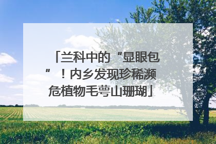 兰科中的“显眼包”！内乡发现珍稀濒危植物毛萼山珊瑚