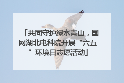 共同守护绿水青山，国网湖北电科院开展“六五”环境日志愿活动