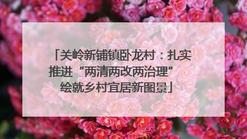 关岭新铺镇卧龙村：扎实推进“两清两改两治理” 绘就乡村宜居新图景