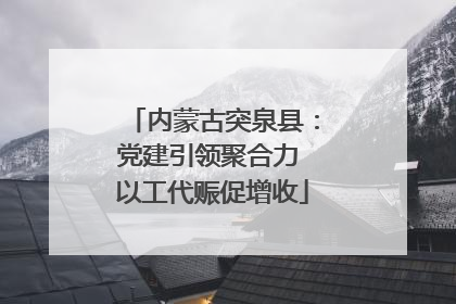 内蒙古突泉县：党建引领聚合力 以工代赈促增收