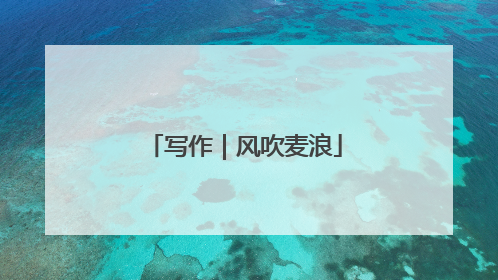 写作｜风吹麦浪