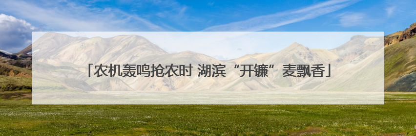 农机轰鸣抢农时 湖滨“开镰”麦飘香