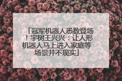 冠军机器人悉数登场！宇树王兴兴：让人形机器人马上进入家庭等场景并不现实
