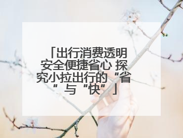 出行消费透明 安全便捷省心 探究小拉出行的“省”与“快”