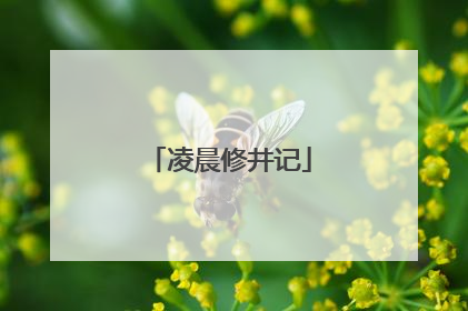 凌晨修井记