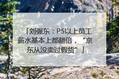 刘强东：P5以上员工薪水基本上都翻倍，“京东从没卖过假货”