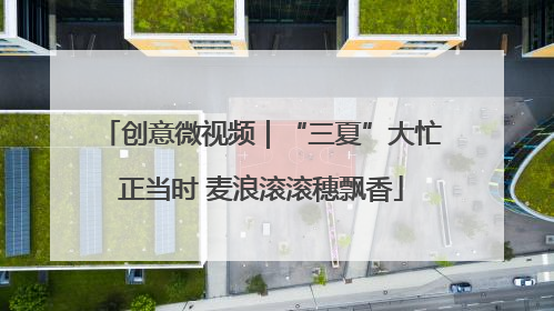 创意微视频｜“三夏”大忙正当时 麦浪滚滚穗飘香