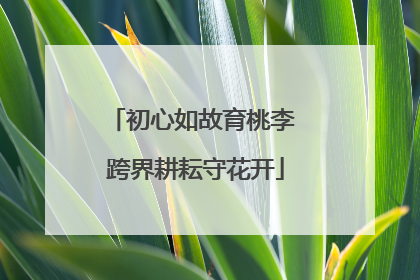 初心如故育桃李 跨界耕耘守花开