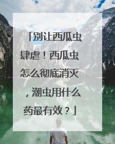 别让西瓜虫肆虐！西瓜虫怎么彻底消灭，潮虫用什么药最有效？
