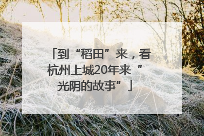 到“稻田”来，看杭州上城20年来“光阴的故事”