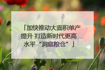 加快推动大面积单产提升 打造新时代更高水平“洞庭粮仓”