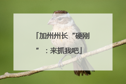 加州州长“硬刚”：来抓我吧
