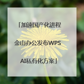 加速国产化进程 金山办公发布WPS AI私有化方案