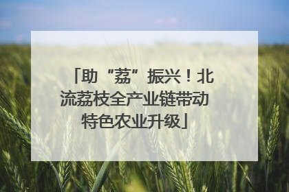 助“荔”振兴！北流荔枝全产业链带动特色农业升级