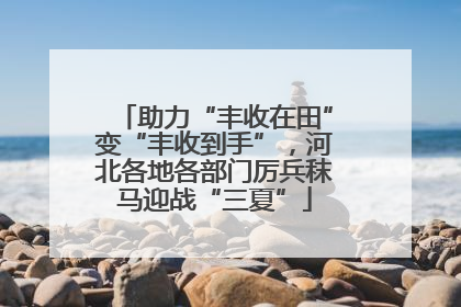助力“丰收在田”变“丰收到手”，河北各地各部门厉兵秣马迎战“三夏”