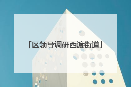 区领导调研西渡街道