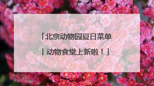 北京动物园夏日菜单丨动物食堂上新啦！