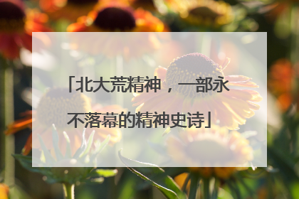 北大荒精神，一部永不落幕的精神史诗