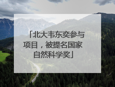 北大韦东奕参与项目，被提名国家自然科学奖