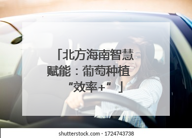 北方海南智慧赋能：葡萄种植“效率+”