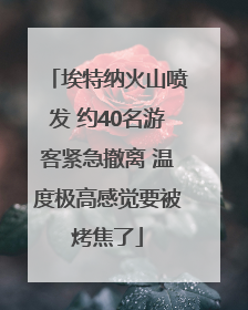 埃特纳火山喷发 约40名游客紧急撤离 温度极高感觉要被烤焦了