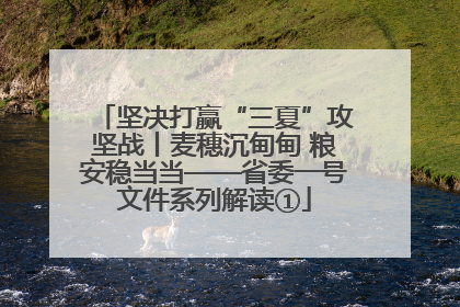 坚决打赢“三夏”攻坚战丨麦穗沉甸甸 粮安稳当当——省委一号文件系列解读①