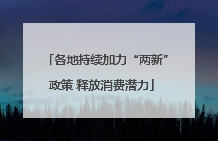各地持续加力“两新”政策 释放消费潜力