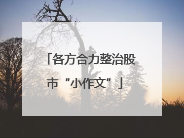 各方合力整治股市“小作文”