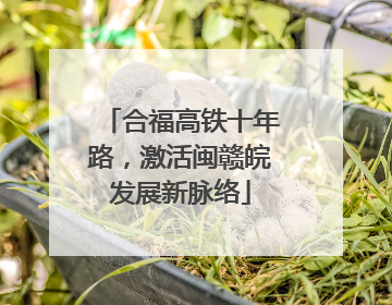 合福高铁十年路，激活闽赣皖发展新脉络
