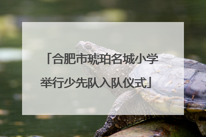 合肥市琥珀名城小学举行少先队入队仪式