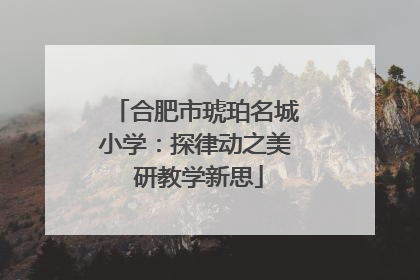 合肥市琥珀名城小学：探律动之美 研教学新思