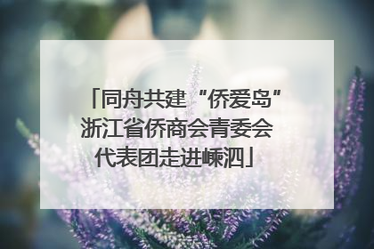 同舟共建“侨爱岛” 浙江省侨商会青委会代表团走进嵊泗